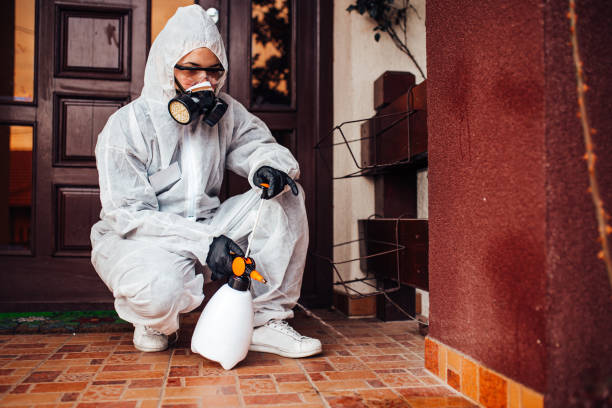 Attic and Crawl Space Rodent Treatment in Belmar